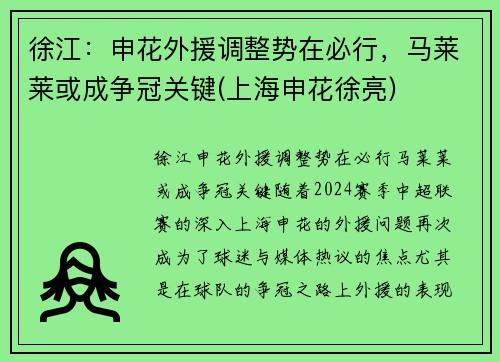 徐江：申花外援调整势在必行，马莱莱或成争冠关键(上海申花徐亮)