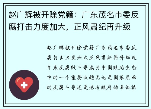 赵广辉被开除党籍：广东茂名市委反腐打击力度加大，正风肃纪再升级