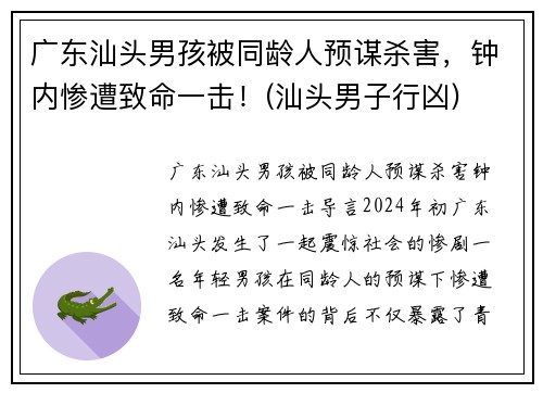 广东汕头男孩被同龄人预谋杀害，钟内惨遭致命一击！(汕头男子行凶)